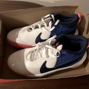 Nike Team Hustle D 10 Dream Shoes